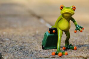お正月旅行を格安で楽しむためのテクニックは？