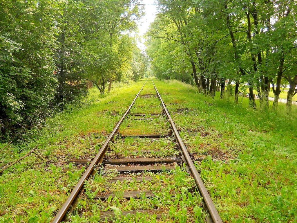 冬休みに学生向けの格安旅行パッケージはどこで探せる？