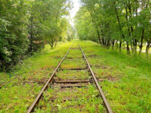 冬休みに学生向けの格安旅行パッケージはどこで探せる？