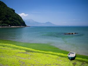 九州週末弾丸旅におすすめの観光スポットは？