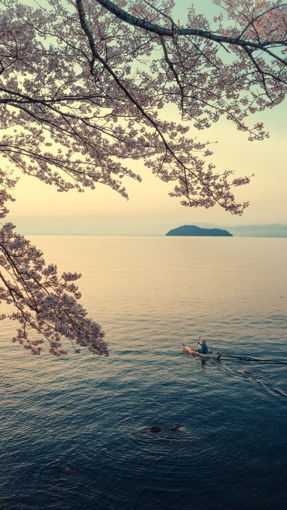 連休春の旅行で桜が安く見られる名所はどこ？