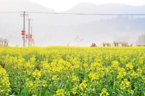 連休に行く旅行で楽しめる穴場の自然スポットは？