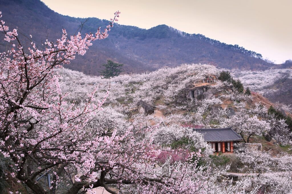 連休におすすめの格安旅行ランキングは？