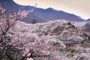 連休におすすめの格安旅行ランキングは？