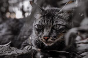 連休におすすめの穴場旅行先は国内どこ？
