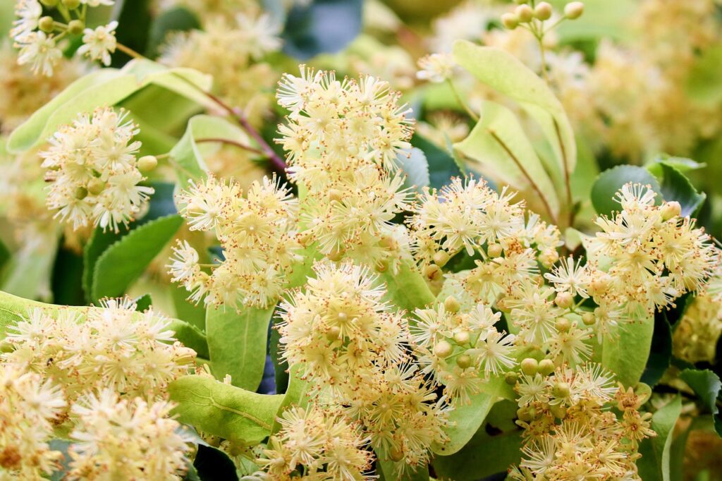 連休に安い宿が見つからない時の対処法は？